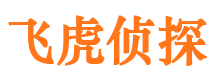 马龙市私家侦探